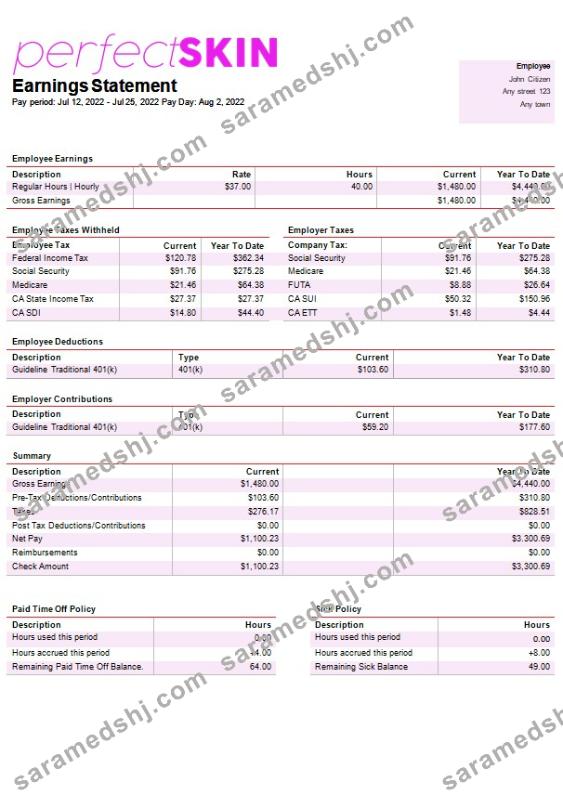 dermatology company paystub template in Word and PDF formats